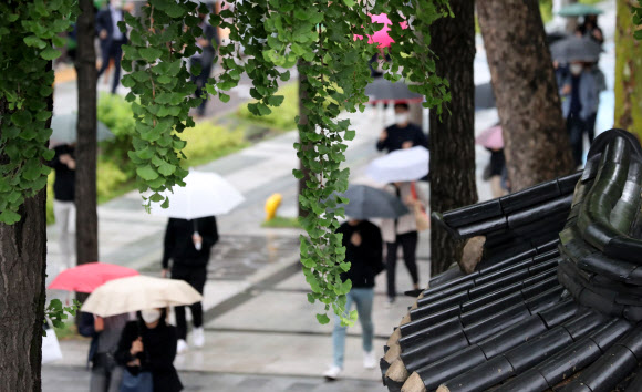 비 내리는 덕수궁 돌담길