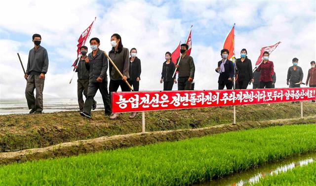 북한 노동당 기관지 노동신문은 29일 ‘모내기가 하루 늦어져도 수확고가 떨어진다, 적기를 놓치지 말자’라는 제목의 특집 기사와 관련 사진 여러 장을 실었다. 농민들이 ‘농업전선은 정면 돌파전의 주타격전방이다. 모두다 알곡증산에로!’라는 문구 뒤를 걸어가고 있다.  평양 노동신문 뉴스1