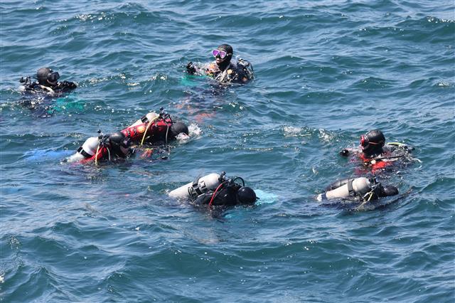 29일 한국해양구조협회 경북특수구조대(황승욱 대장)와 포스코 포항제철소 클린오션봉사단 소속 스쿠버 40명과 포항시 해양산업과 공무원들이 제26회 바다의 날을 맞아 포항시 북구 흥해읍 영일만항 북방파제 일원에서 해양정화 활동을 펼쳤다. 2021.5.29 뉴스1