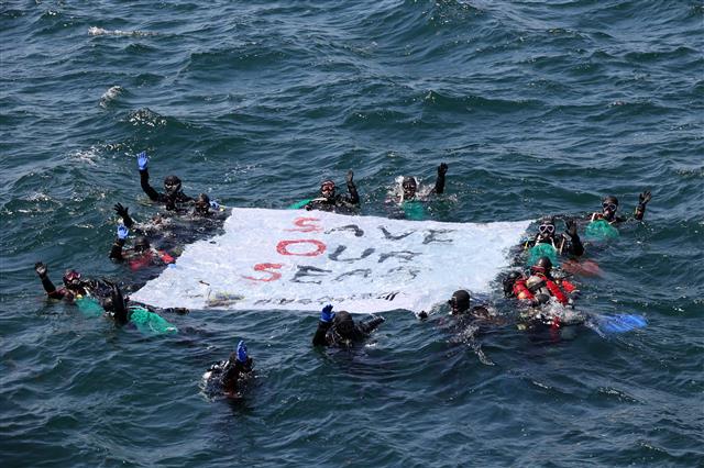 29일 한국해양구조협회 경북특수구조대(황승욱 대장)와 포스코 포항제철소 클린오션봉사단이 제26회 바다의 날을 맞아 북구 흥해읍 영일만항 북방파제 일원에서 해양정화 활동을 펼쳤다. 수중 정화활동을 앞둔 스쿠버들이 환경오염으로부터 바다환경을 지킬 것을 다짐하고 있다.2021.5.29 뉴스1