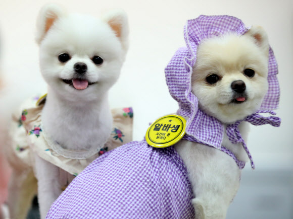 ‘우리 가게 최고의 알바생’