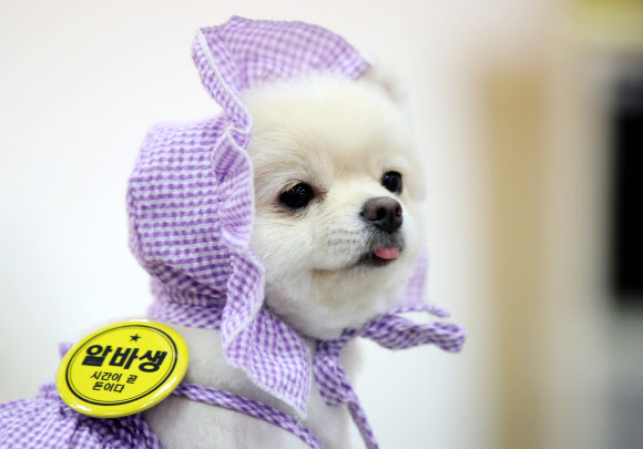 ‘우리 가게 최고의 알바생’