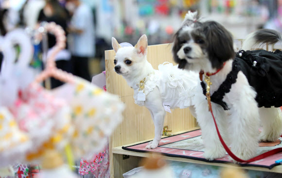 ‘인형이 따로 없네’