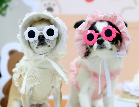 ‘이 구역 패션왕은 우리’