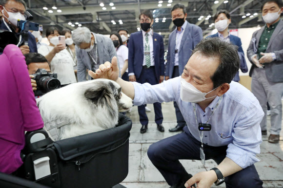 강아지에게 간식 주는 정세균 전 총리