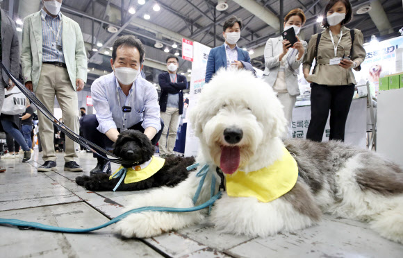 강아지가 반가운 정세균 총리