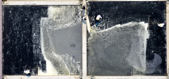 ‘그림 그리듯 소금 수확’