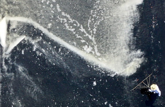 ‘그림 그리듯 소금 수확’