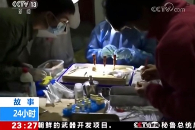 2017년 12월 29일 중국 CCTV에 방영된 영상에서 우한바이러스연구소 연구진이 박쥐 샘플을 다루고 있다. 유튜브 