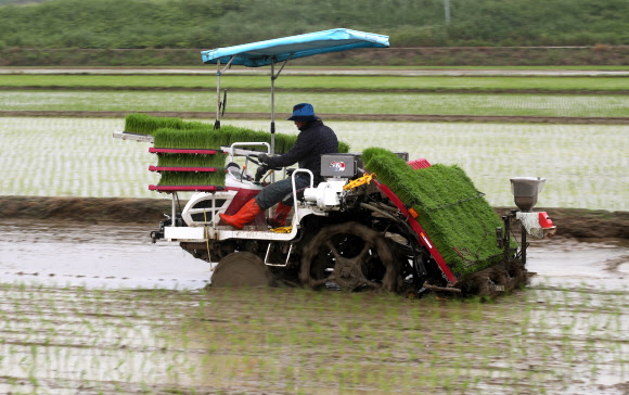 단비가 내리는 3일 전남 나주시 반남면에서 한 농부가 이앙기를 이용해 논에 모내기하고 있다. 2021.6.3  연합뉴스
