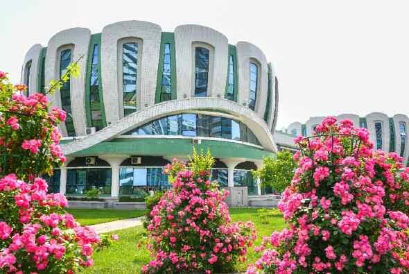 북한 노동당 기관지 노동신문은 6일 ‘수도의 풍치를 돋우어주는 장미꽃 풍경’이라는 제목으로 평양 시내 사진 여러 장을 실었다. 신문은 “수도의 거리에 펼쳐진 장미꽃 풍경은 창조의 숨결로 높뛰고 내일에 대한 희망으로 충만된 우리의 생활을 더욱 약동하게 해주고 있다”라고 전했다.  평양 노동신문 뉴스1