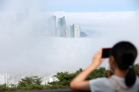 부산 해무 장관