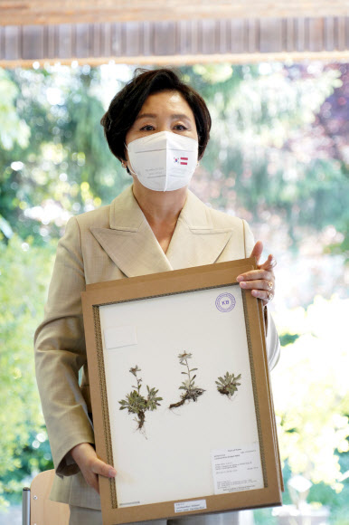 문재인 대통령과 오스트리아를 국빈 방문중인 김정숙 여사가 14일(현지시간) 빈 대학 식물원을 방문, 우리나라 식물표본을 선물하고 있다. 2021.6.15  연합뉴스