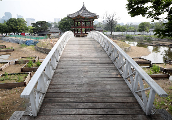 지난 2017년 5월 해체·보수 공사를 시작한 경복궁 북쪽의 아름다운 육각 정자 ‘향원정’(香遠亭)이 올가을 정비를 마치고 공개된다. 지금도 향원정을 둘러싼 연못인 향원지(香遠池) 주변 가림막 사이로 정자와 물 빠진 연못을 볼 수 있지만, 10월이면 공식적으로 공사를 마무리한다. 연못 조경 작업까지 마무리되는 시점은 내년 봄이다. 사진은 지난 14일 막바지 보수 작업이 한창인 향원정. 2021.6.16  연합뉴스