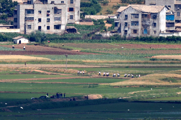 16일 경기도 파주시 오두산 통일전망대에서 바라본 북한 황해북도 개풍군에서 주민들이 밭일로 분주하다. 2021.6.16  연합뉴스