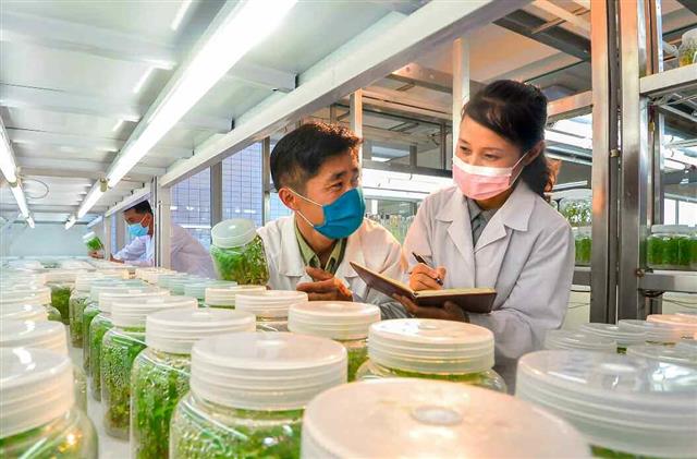 북한 노동당 기관지 노동신문은 26일 과학자 기술자들을 향해 “주 타격 전방의 돌파구를 앞장에서 열어제끼며 올해 알곡생산 목표 수행을 믿음직하게 담보하자”라고 촉구했다. 사진은 농업연구원 농업생물학연구소. 평양 노동신문 뉴스1