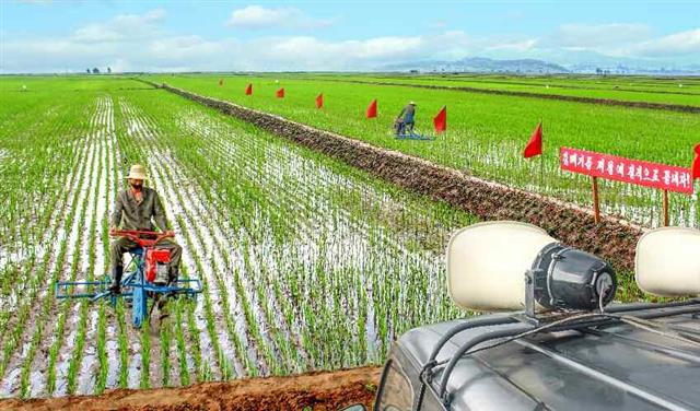 북한 노동당 기관지 노동신문은 28일 올해 알곡생산 계획을 무조건 완수하자고 농업 부문을 독려했다. 신문은 온 나라 각지의 농업 부문 일꾼과 근로자들이 “나라의 쌀독을 책임진 주인된 자각을 백배하며 선진영농 방법들을 적극 받아들여 농작물 비배관리를 과학기술적으로 하기 위해 애쓰고 있다”라고 전했다. 평양 노동신문 뉴스1