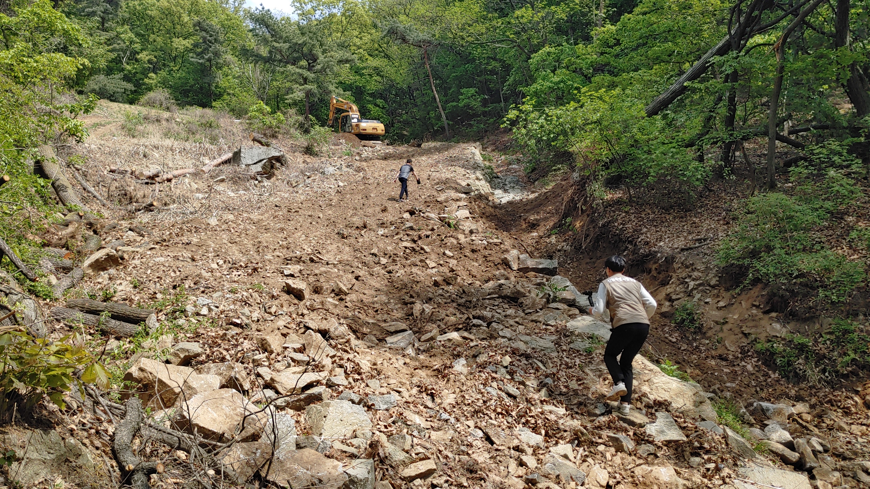 산림청 산림사범수사팀이 산림 내 불법훼손 현장을 확인하고 적발에 나섰다. 북부지방산림청 제공