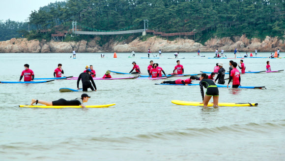 만리포해수욕장서 파도타기 연습하는 서퍼들