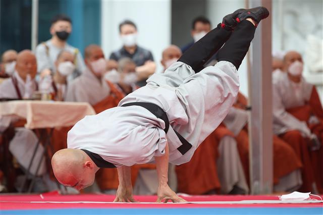 사명대사 수행하던 무예 선무도