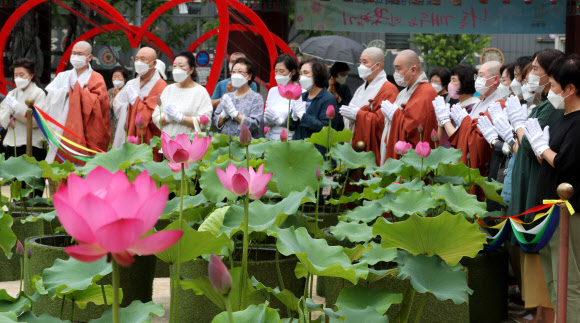 조계사 연꽃축제 ‘나를 깨우는 연꽃향기’ 개막