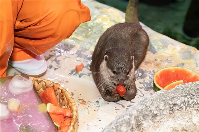 ‘바로 이맛이야’