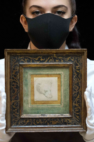 140억원에 팔린 다빈치의 ‘곰의 머리’ 소묘