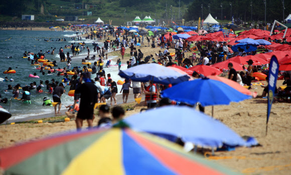 붐비는 속초해수욕장