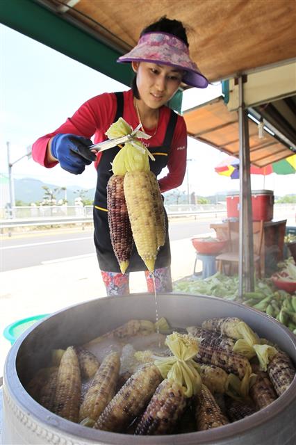 경남 고성군 월평리 국도변에 있는 옥수수 거리. 옥수수 농사를 짓는 옥수수작목반 소속 농민들이 노점을 운영하며 직접 재배한 옥수수를 삶아 판매하고 있다.