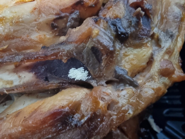 파리알이 발견된 통닭. 온라인커뮤니티