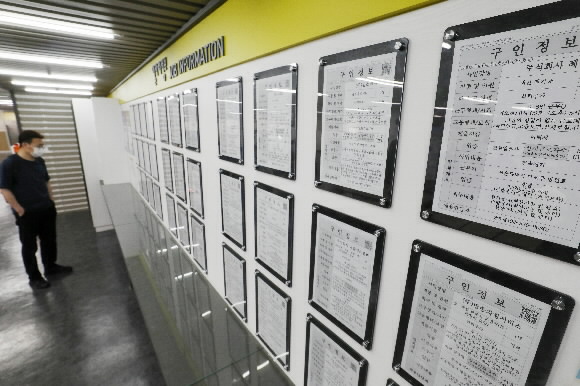 서울 마포구 서부고용복지센터에서 구직자들이 일자리정보 게시판을 바라보고 있다.  뉴스1