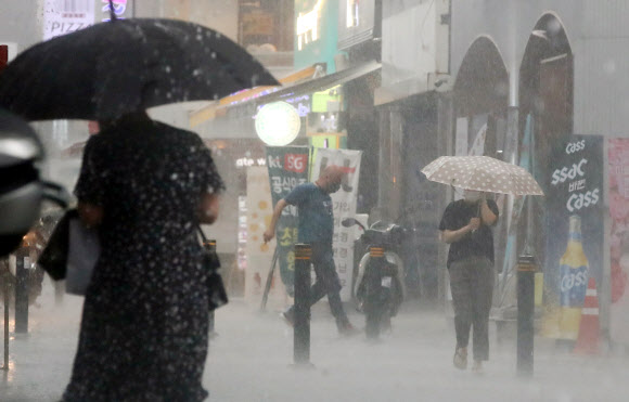 갑자기 퍼붓는 소나기