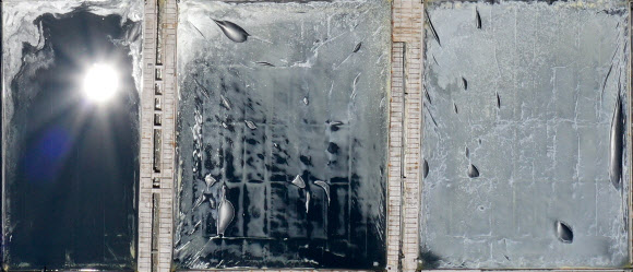 27일 오후 전남 신안군 증도면 태평염전에 소금결정이 맺히고 있다. 2021.7.27  연합뉴스