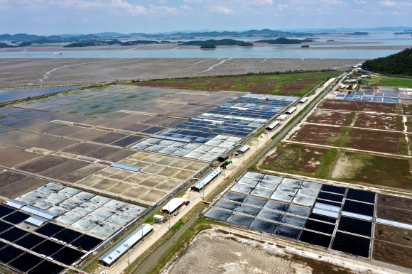 27일 오후 전남 신안군 증도면 태평염전에 소금결정이 맺히고 있다. 2021.7.27  연합뉴스