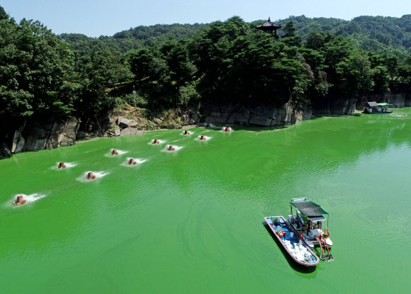 28일 녹조가 뒤덮인 충청북도 옥천군 군북면 추소리 인근 대청호에서 조류제거선을 탄 K-WATER(한국수자원공사) 대청댐지사 관계자들이 녹조제거작업을 하고 있다. 왼쪽으로는 녹조 저감을 위한 물 순환 장비인 수면포기기(왼쪽)가 가동되고 있지만, 녹조를 제거하기엔 역부족으로 보인다. 2021.7.28  연합뉴스