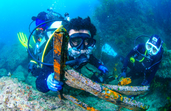 원희룡 제주지사가 1일 오전 서귀포시 보목항 일대 해양보호구역에서 다이빙클럽 볼레낭개 다이버들과 수중 플로깅 활동을 하고 있다. 수중 플로깅은 수중에서 해양쓰레기를 줍는 활동이다. 2021.8.1 연합뉴스
