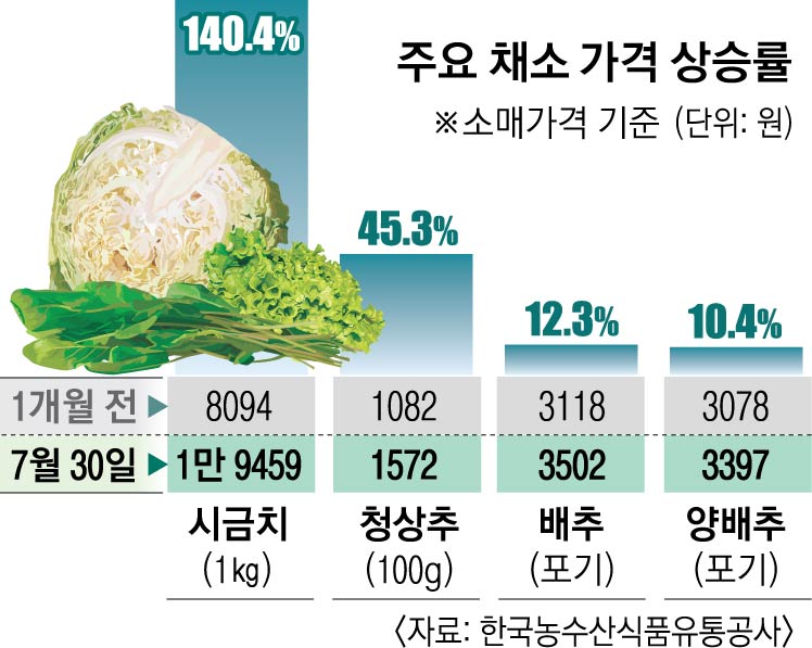 시금치·수박 담으면 4만원… 폭염의 장바구니 '후덜덜' | 서울신문