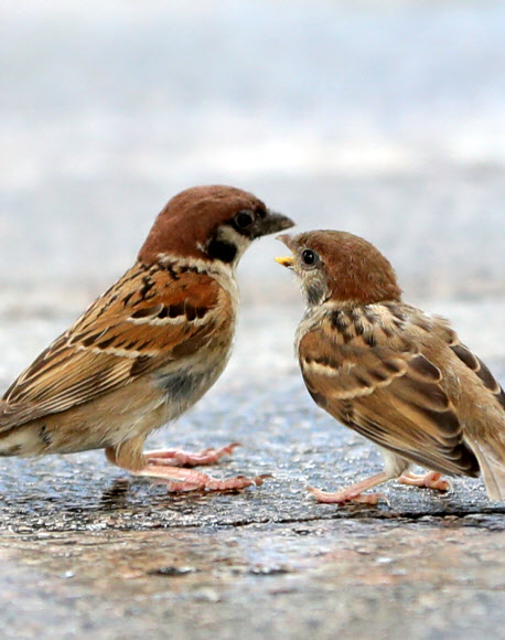 빨리 밥 주세요