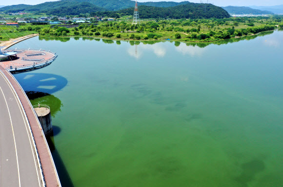 ‘녹색 낙동강’