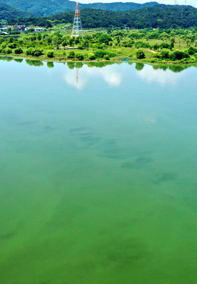 ‘녹색 낙동강’