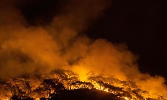 터키 남부 대규모 산불. AFP 연합뉴스