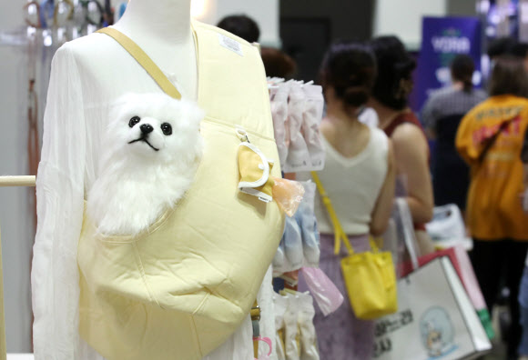 반려동물과 여름나기