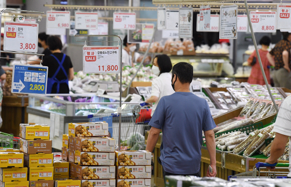 8일 서울 시내의 한 대형마트에서 시민들이 장을 보고 있다. 경제협력개발기구(OECD)에 따르면 우리나라의 올 2분기 식품물가 상승률은 7.3%로 38개 회원국 가운데 터키와 호주에 이어 세 번째였다. 오장환 기자 5zzang@seoul.co.kr