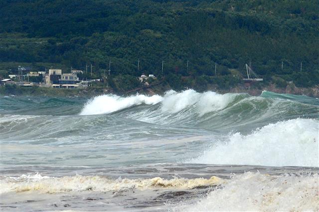 제9호 태풍 루핏의 간접영향권에서 점차 벗어나고 있는 9일 경북 포항시 북구 흥해읍 용한리 해수욕장으로 너울파도가 밀려들고 있다.2021.8.9 뉴스1