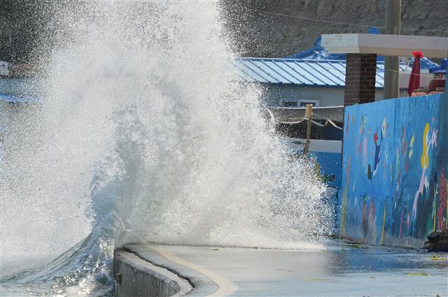 11일 경북 포항시 북구 흥해읍 죽천리 해안도로에 높은 파도가 밀려들고 있다. 2021.8.11 뉴스1
