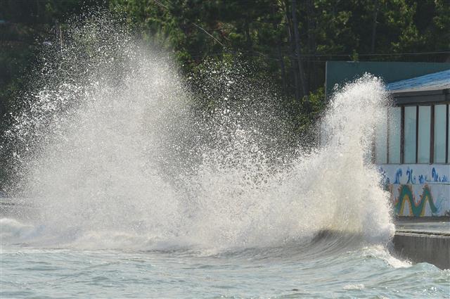 11일 경북 포항시 북구 흥해읍 죽천리 해안도로에 높은 파도가 밀려들고 있다. 2021.8.11 뉴스1