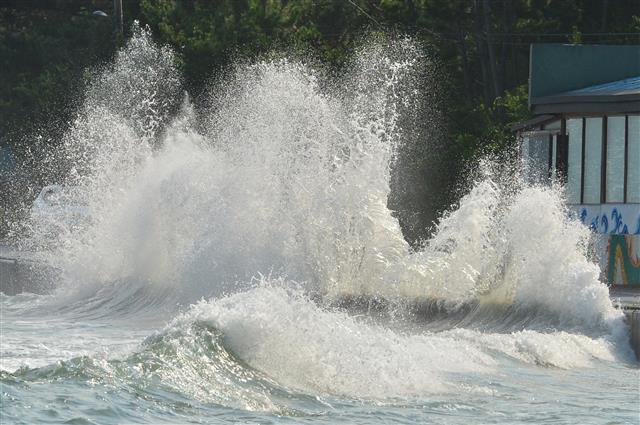 11일 경북 포항시 북구 흥해읍 죽천리 해안도로를 운행하던 승용차가 밀려든 높은 파도에 꼼짝도 하지 못하고 있다. 2021.8.11 뉴스1