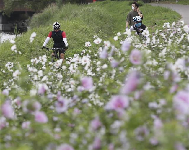 제76주년 광복절을 사흘 앞둔 12일 울산 중구 태화강 국가정원에서 시민들이 활짝 핀 무궁화를 감상하고 있다. 2021.8.12 뉴스1