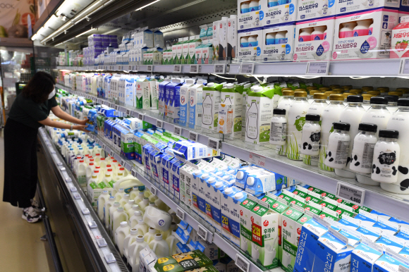 이달부터 원유(原乳) 가격이 ℓ당 21원 인상예정인 가운데 12일 오전 서울 양재동 하나로마트에서 시민들이 우유를 고르고 있다. 2021.8.12 도준석 기자 pado@seoul.co.kr