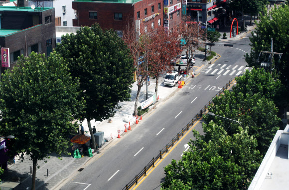 ‘목격자를 찾습니다’